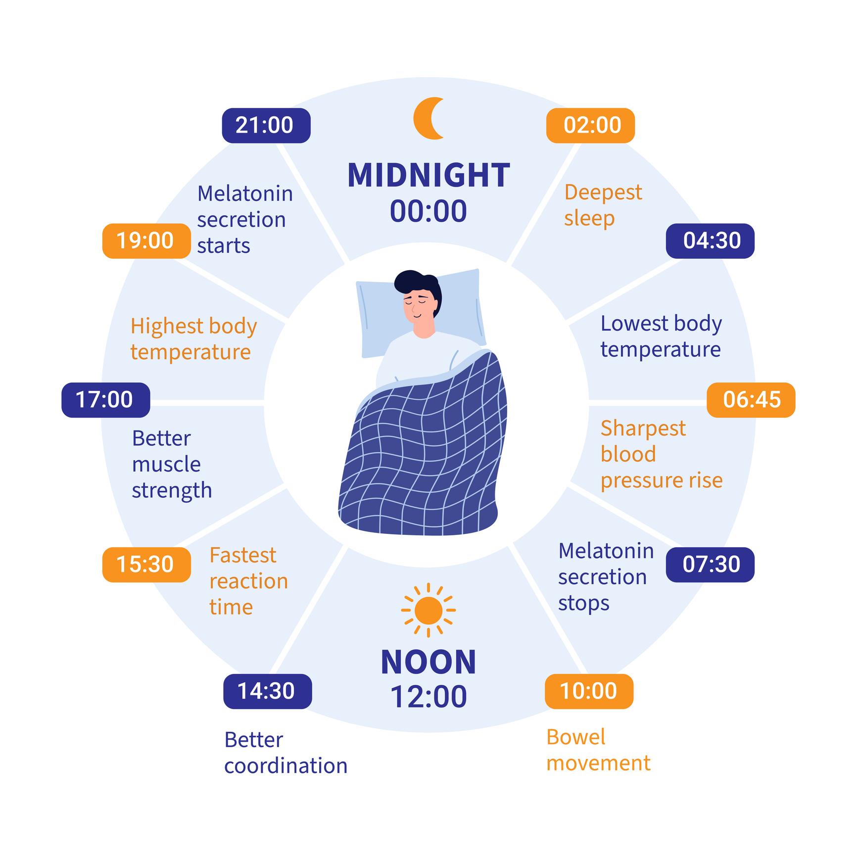 Key Scientific Concepts Behind Circadian Nutrition